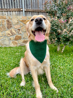 Load image into Gallery viewer, Evergreen Scrunchiedana®
