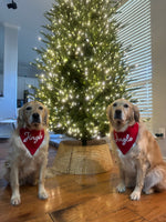 Load image into Gallery viewer, Jingle Scrunchiedana®
