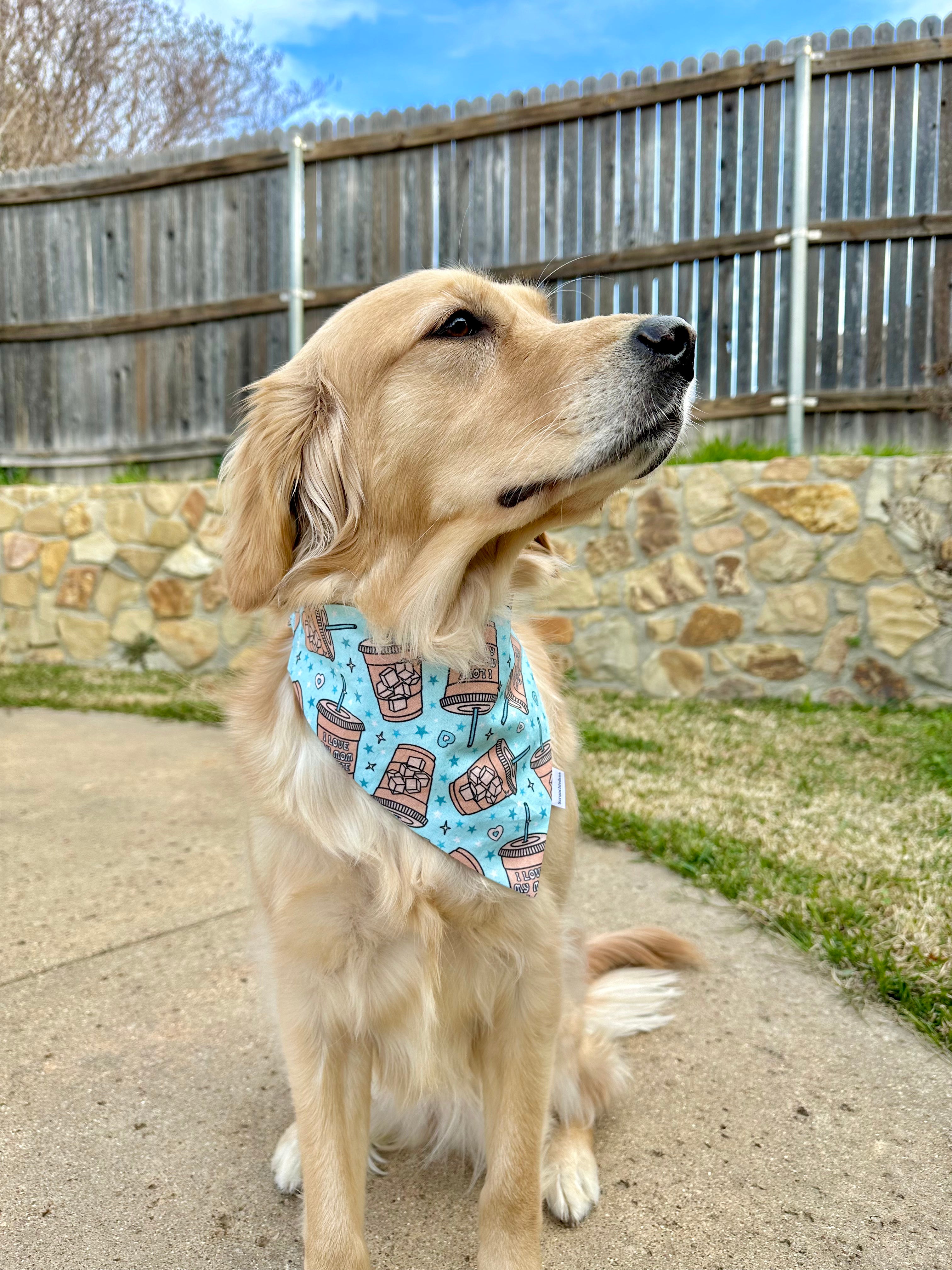 Boy Mom Latte Scrunchiedana