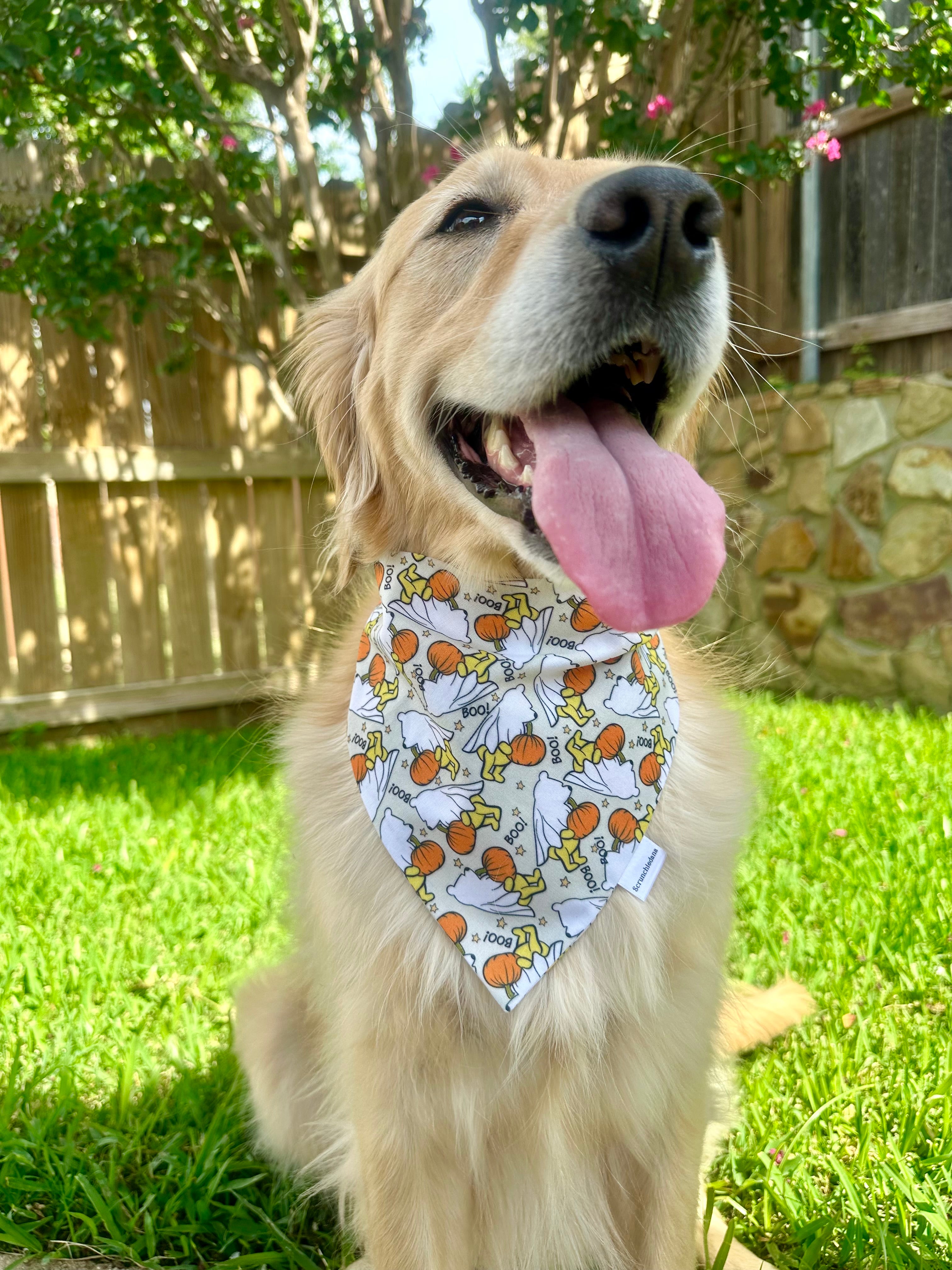 Winnie the BOO Scrunchiedana®