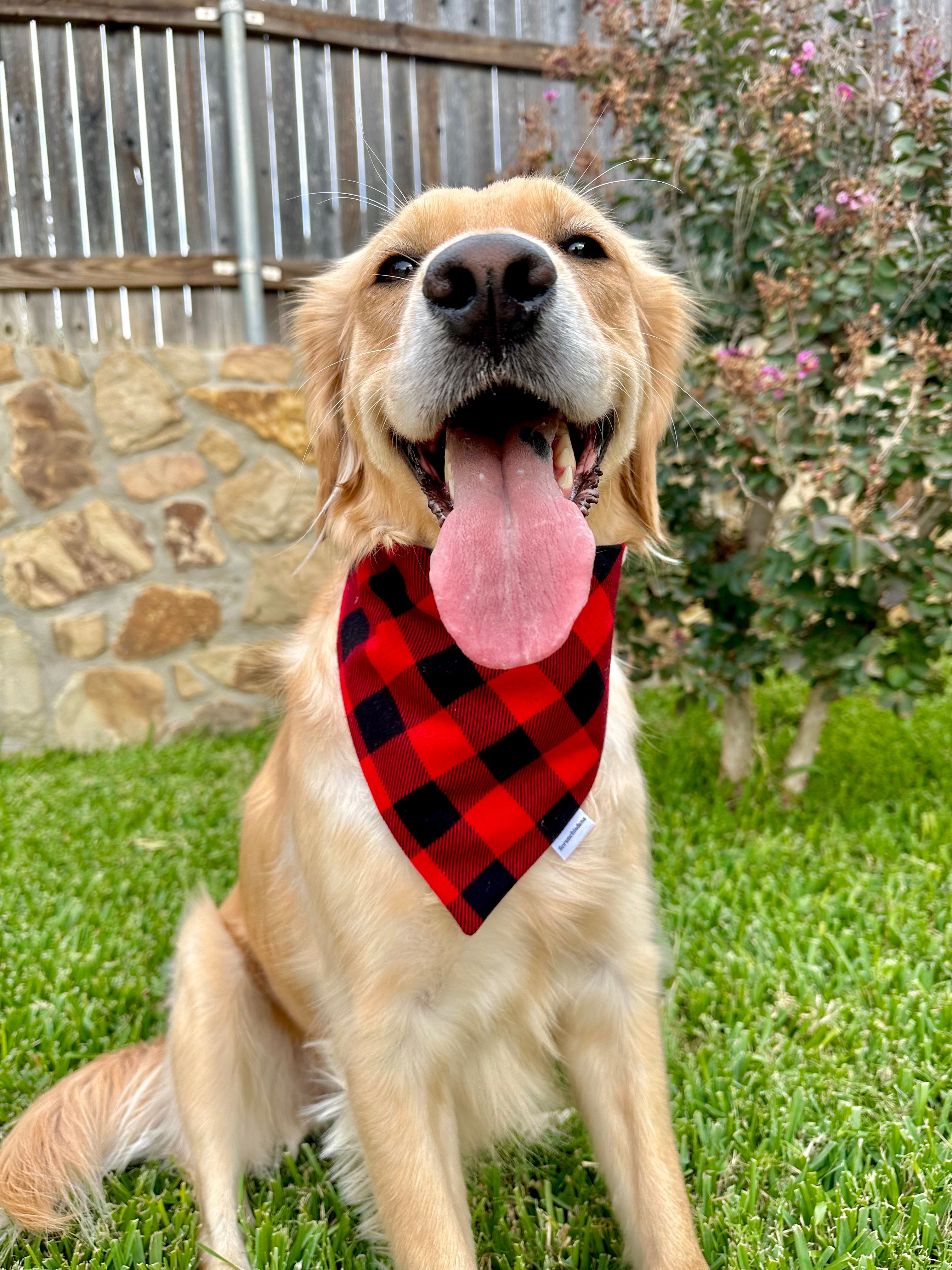 Very Merry Red Buffalo Check Scrunchiedana®