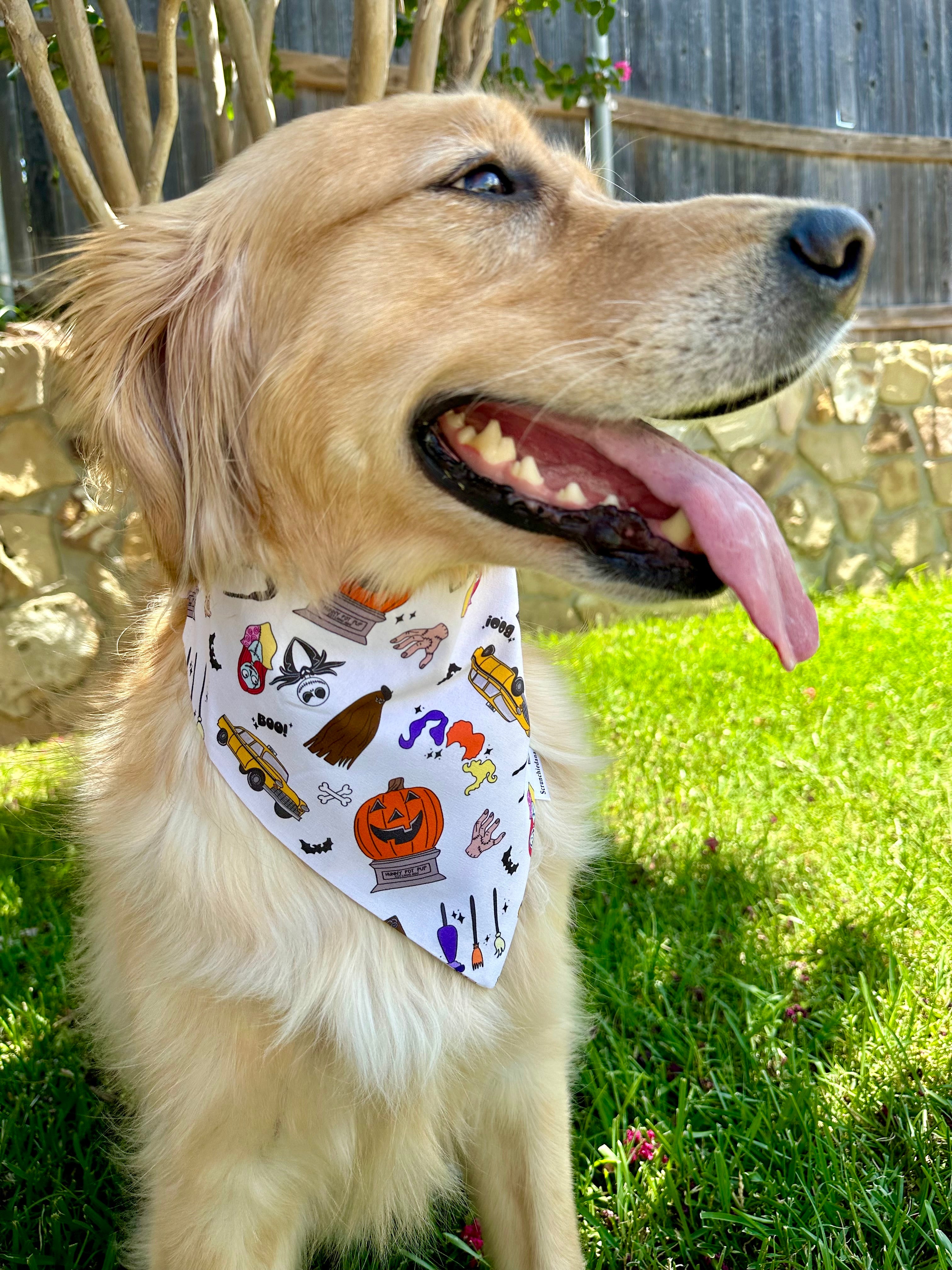 Halloween Classics Scrunchiedana®