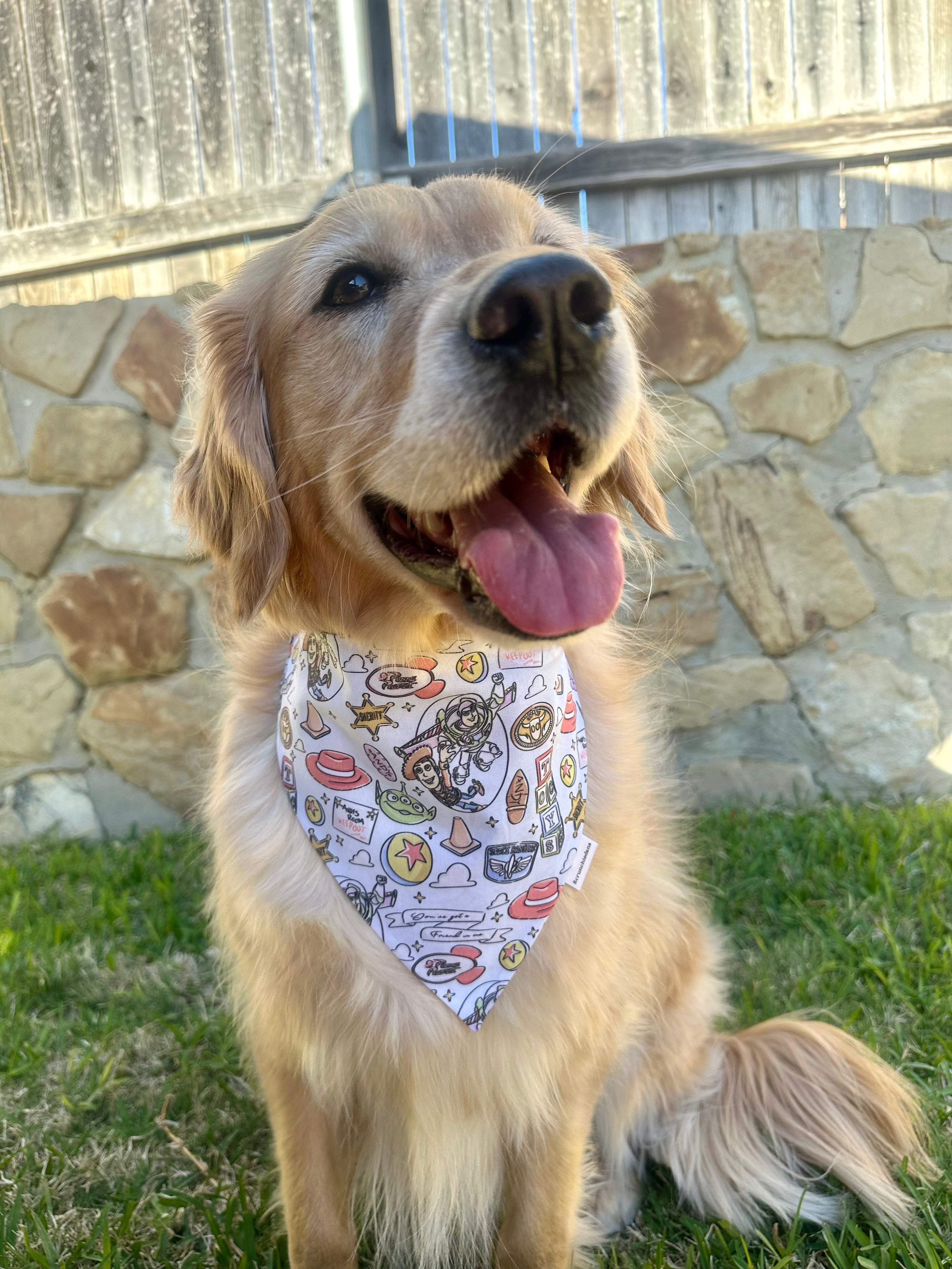 Andy’s Toys Scrunchiedana®