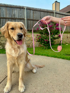 Smiley Daisy Traffic Leash