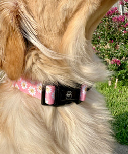 Smiley Daisy Collar