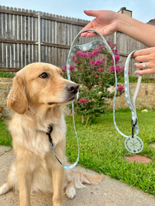 Sunny Day Traffic Leash