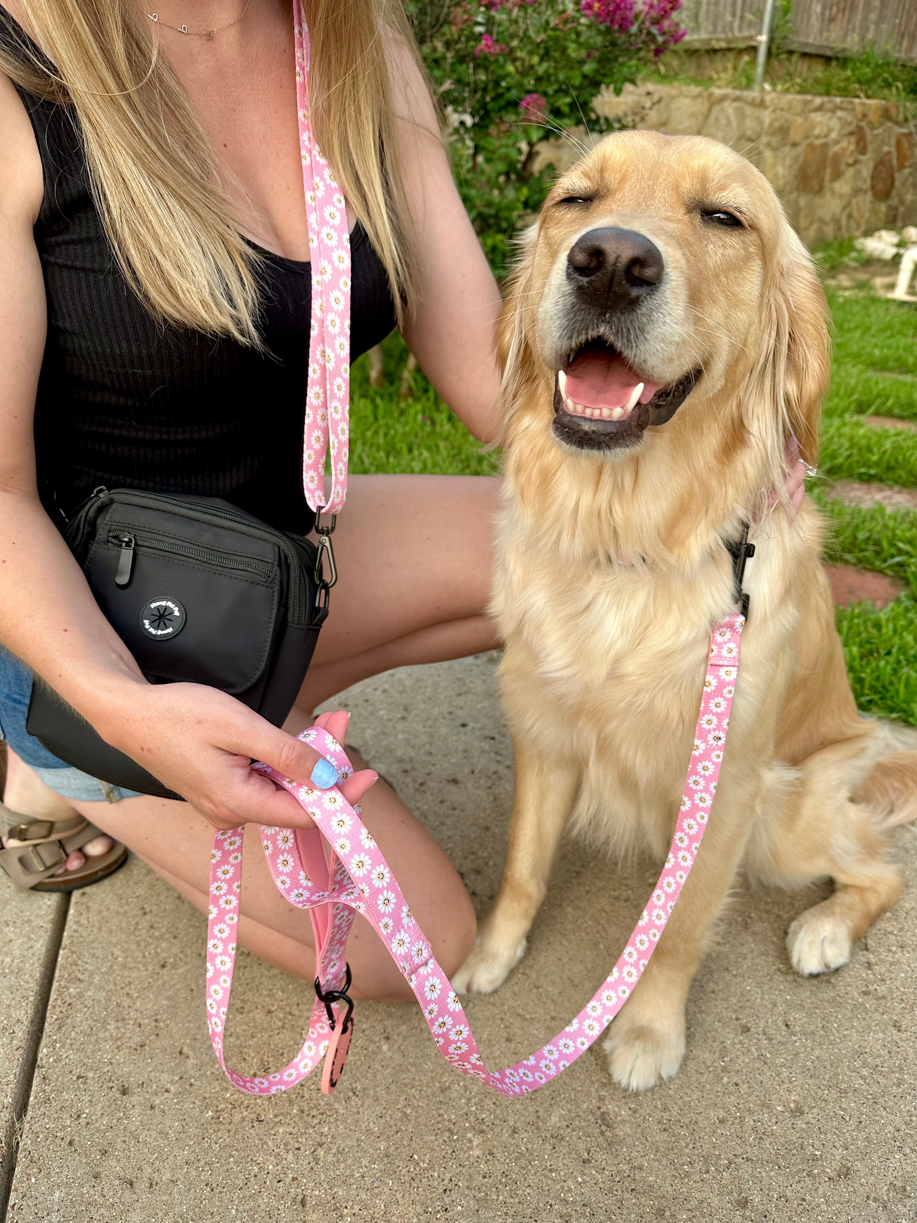 Smiley Daisy Traffic Leash