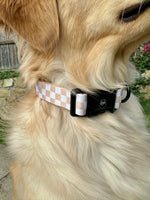 Load image into Gallery viewer, Check it Out Collar
