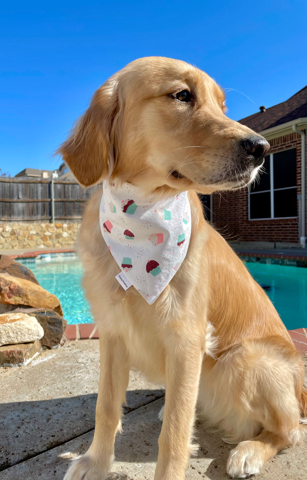 Cutie Cupcakes Scrunchiedana