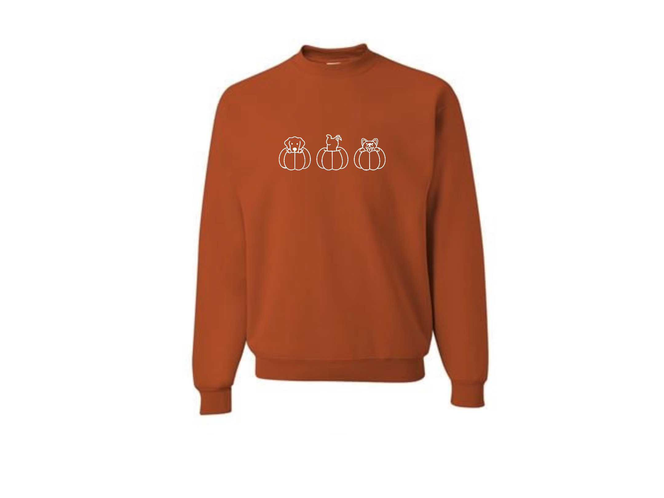 Burnt Orange Embroidered Crewneck