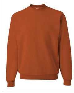 Burnt Orange Embroidered Crewneck