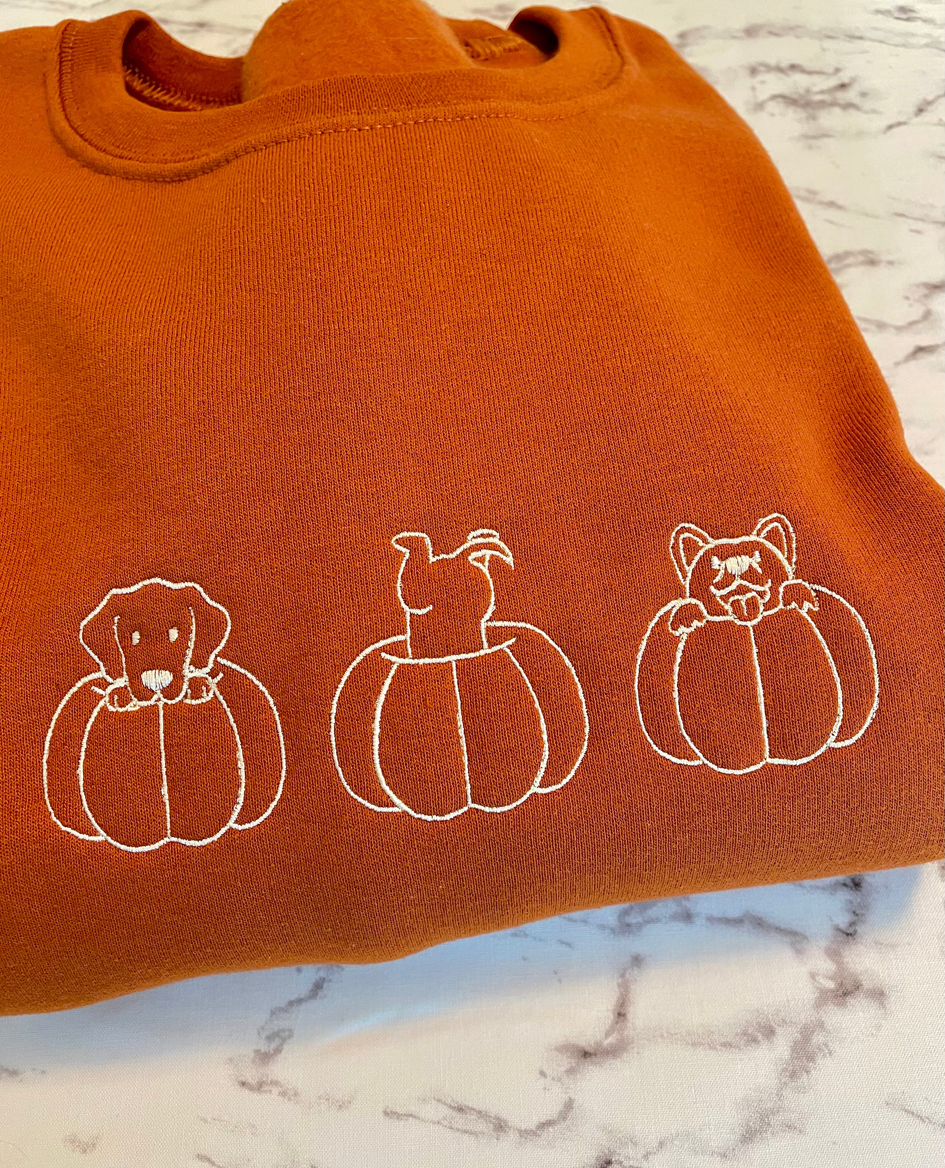 Burnt Orange Embroidered Crewneck